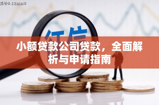 镇宁小额贷款公司贷款，全面解析与申请指南