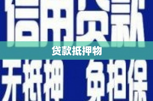 镇宁贷款抵押物