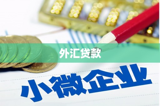 镇宁外汇贷款