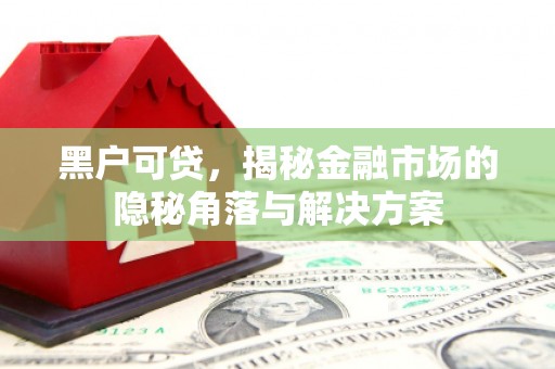 镇宁黑户可贷，揭秘金融市场的隐秘角落与解决方案