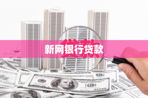 镇宁新网银行贷款