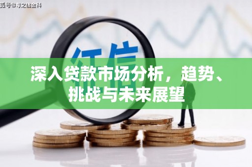 镇宁深入贷款市场分析，趋势、挑战与未来展望