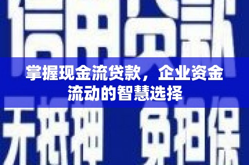 镇宁掌握现金流贷款，企业资金流动的智慧选择