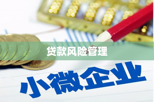 镇宁贷款风险管理