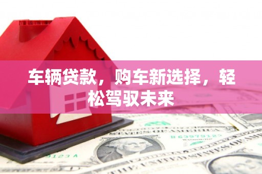 镇宁车辆贷款，购车新选择，轻松驾驭未来