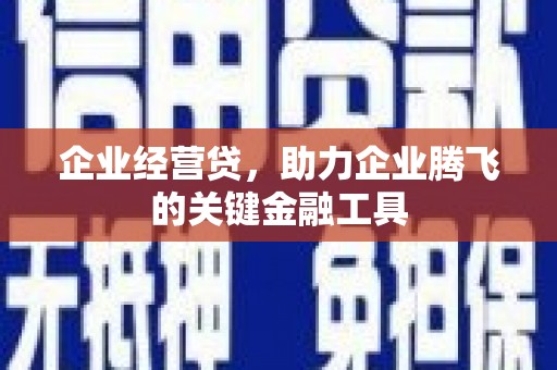 镇宁企业经营贷，助力企业腾飞的关键金融工具