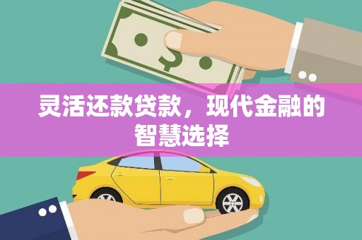 镇宁灵活还款贷款，现代金融的智慧选择