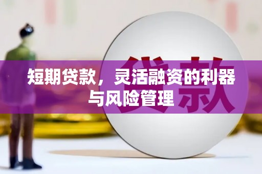 镇宁短期贷款，灵活融资的利器与风险管理