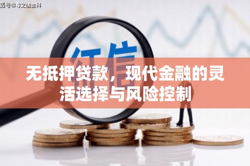 镇宁无抵押贷款，现代金融的灵活选择与风险控制