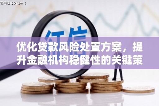 镇宁优化贷款风险处置方案，提升金融机构稳健性的关键策略