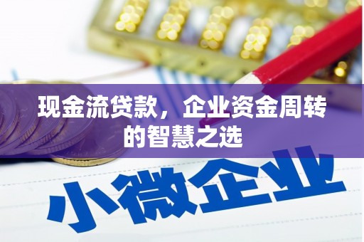 镇宁现金流贷款，企业资金周转的智慧之选