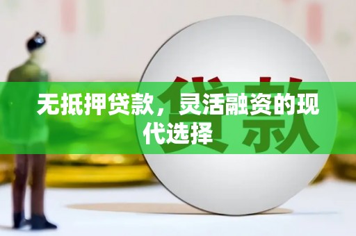 镇宁无抵押贷款，灵活融资的现代选择