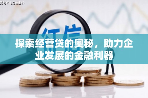 镇宁探索经营贷的奥秘，助力企业发展的金融利器