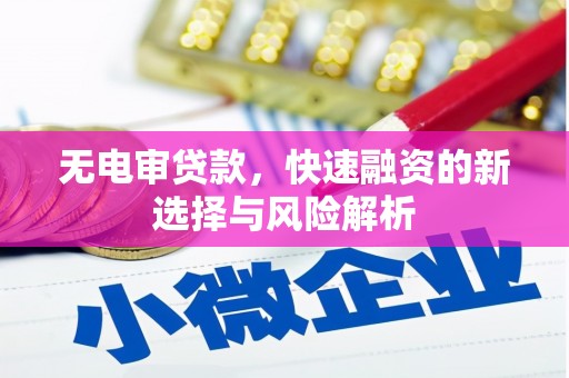 镇宁无电审贷款，快速融资的新选择与风险解析