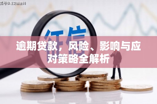 镇宁逾期贷款，风险、影响与应对策略全解析