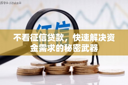 镇宁不看征信贷款，快速解决资金需求的秘密武器