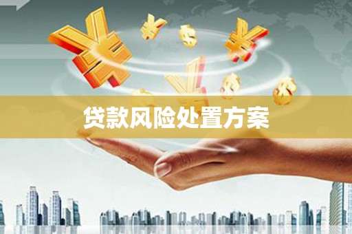 镇宁贷款风险处置方案