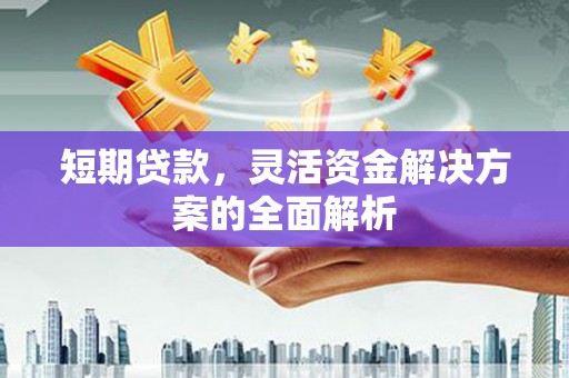 镇宁短期贷款，灵活资金解决方案的全面解析