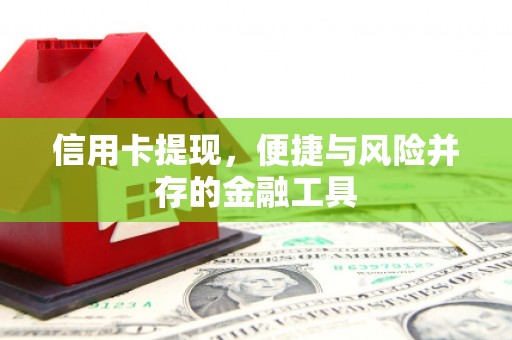 镇宁信用卡提现，便捷与风险并存的金融工具