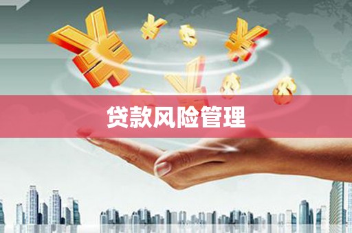 镇宁贷款风险管理