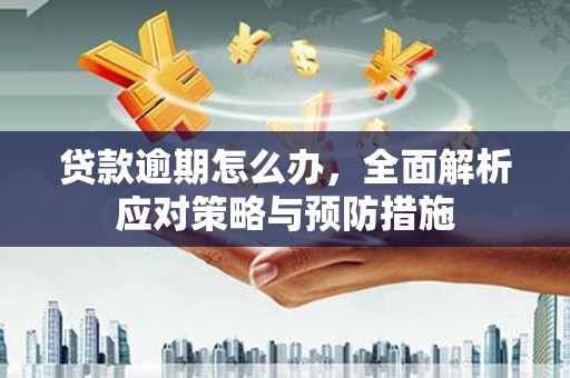 镇宁贷款逾期怎么办，全面解析应对策略与预防措施