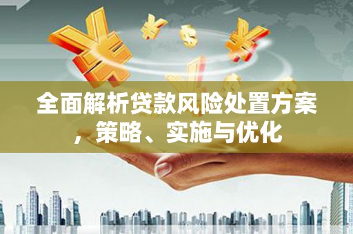镇宁全面解析贷款风险处置方案，策略、实施与优化
