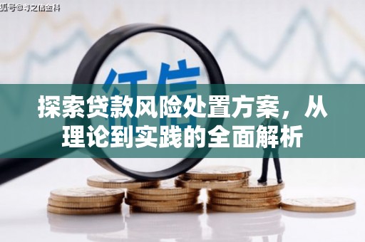 镇宁探索贷款风险处置方案，从理论到实践的全面解析
