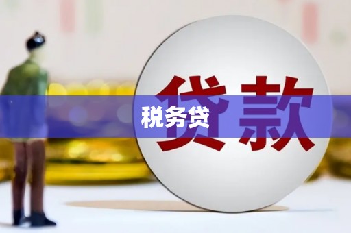 镇宁税务贷