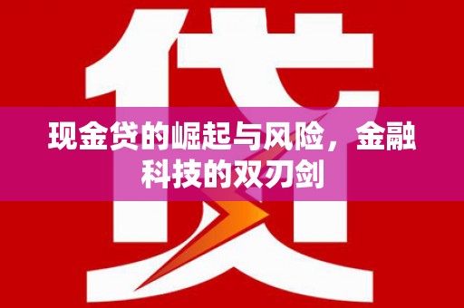 镇宁现金贷的崛起与风险，金融科技的双刃剑