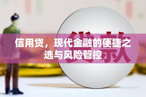 镇宁信用贷，现代金融的便捷之选与风险管控