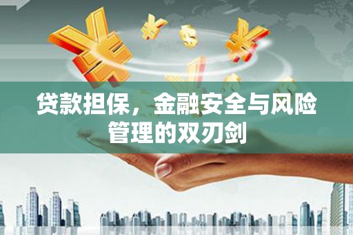 镇宁贷款担保，金融安全与风险管理的双刃剑