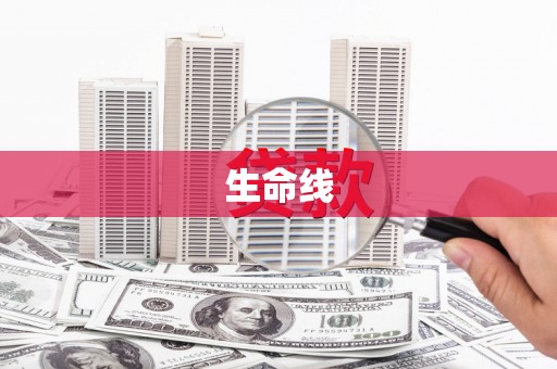 镇宁生命线