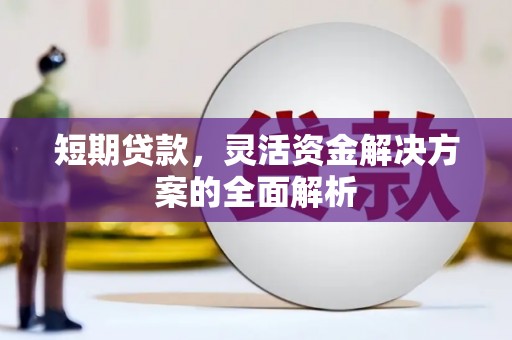 镇宁短期贷款，灵活资金解决方案的全面解析