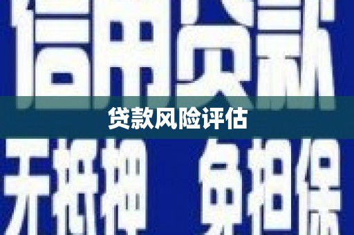镇宁贷款风险评估