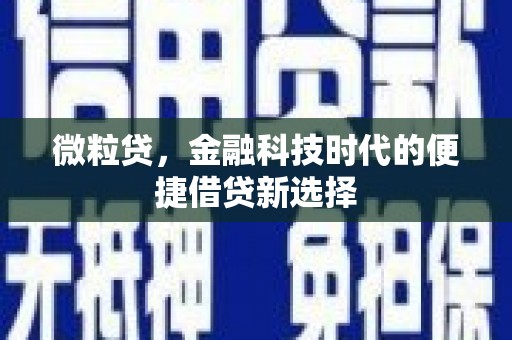 镇宁微粒贷，金融科技时代的便捷借贷新选择