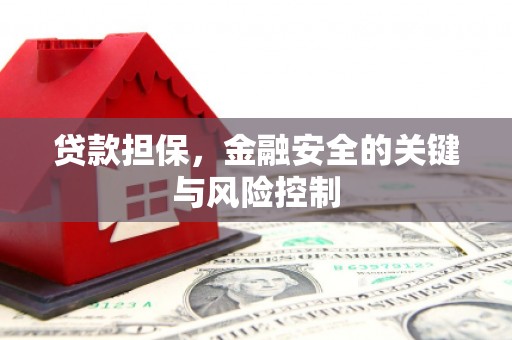 镇宁贷款担保，金融安全的关键与风险控制