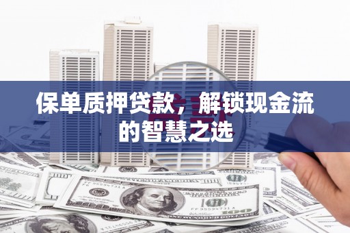 镇宁保单质押贷款，解锁现金流的智慧之选