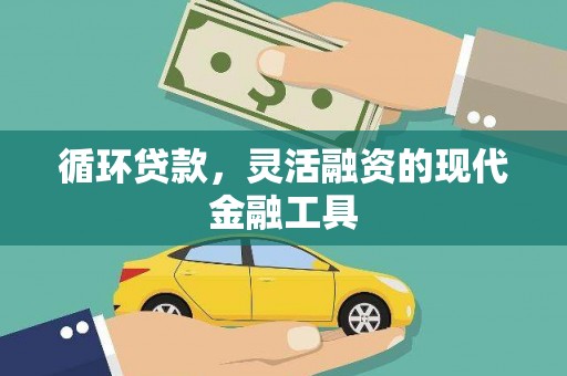 镇宁循环贷款，灵活融资的现代金融工具