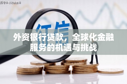 镇宁外资银行贷款，全球化金融服务的机遇与挑战