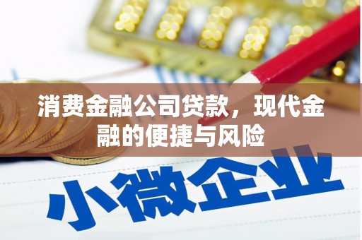 镇宁消费金融公司贷款，现代金融的便捷与风险