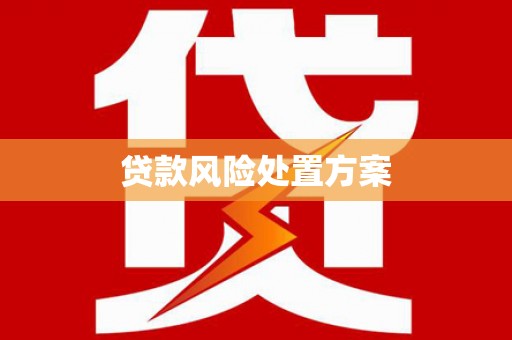 镇宁贷款风险处置方案