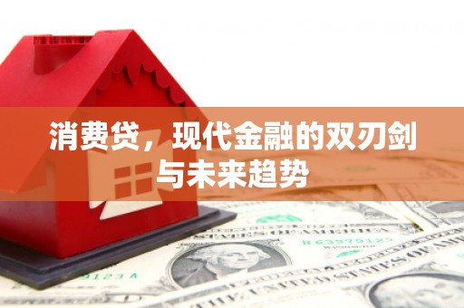 镇宁消费贷，现代金融的双刃剑与未来趋势