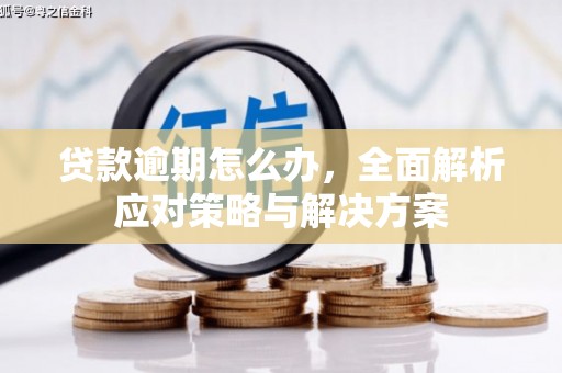 镇宁贷款逾期怎么办，全面解析应对策略与解决方案