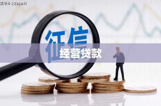 镇宁经营贷款