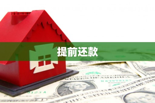 镇宁提前还款